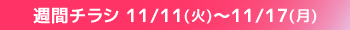 週間チラシ期間
