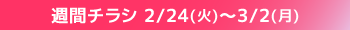 週間チラシ期間